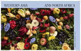 Bread and Roses: 100+ Grain Forward Recipes Featuring Global: Hardcover