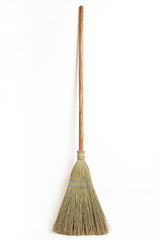 Broom Ambrosia