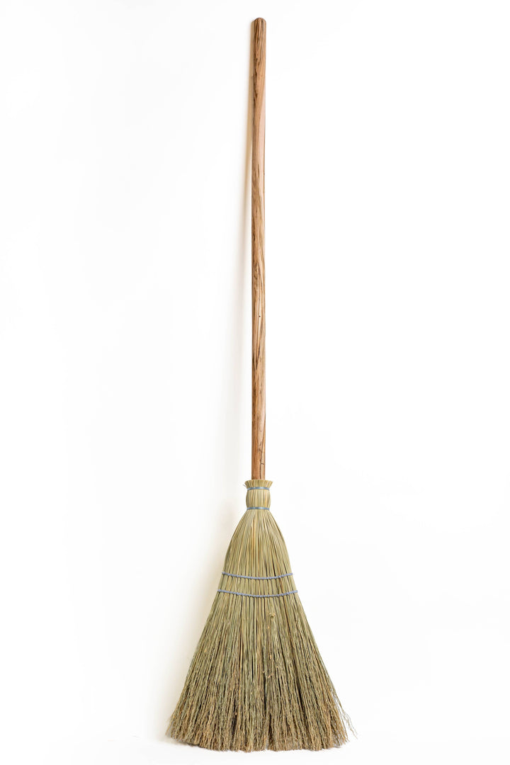 Broom Ambrosia