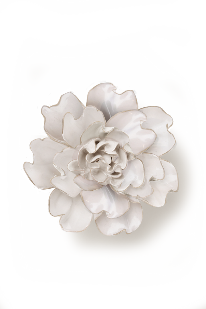 Ivory Larkspur
