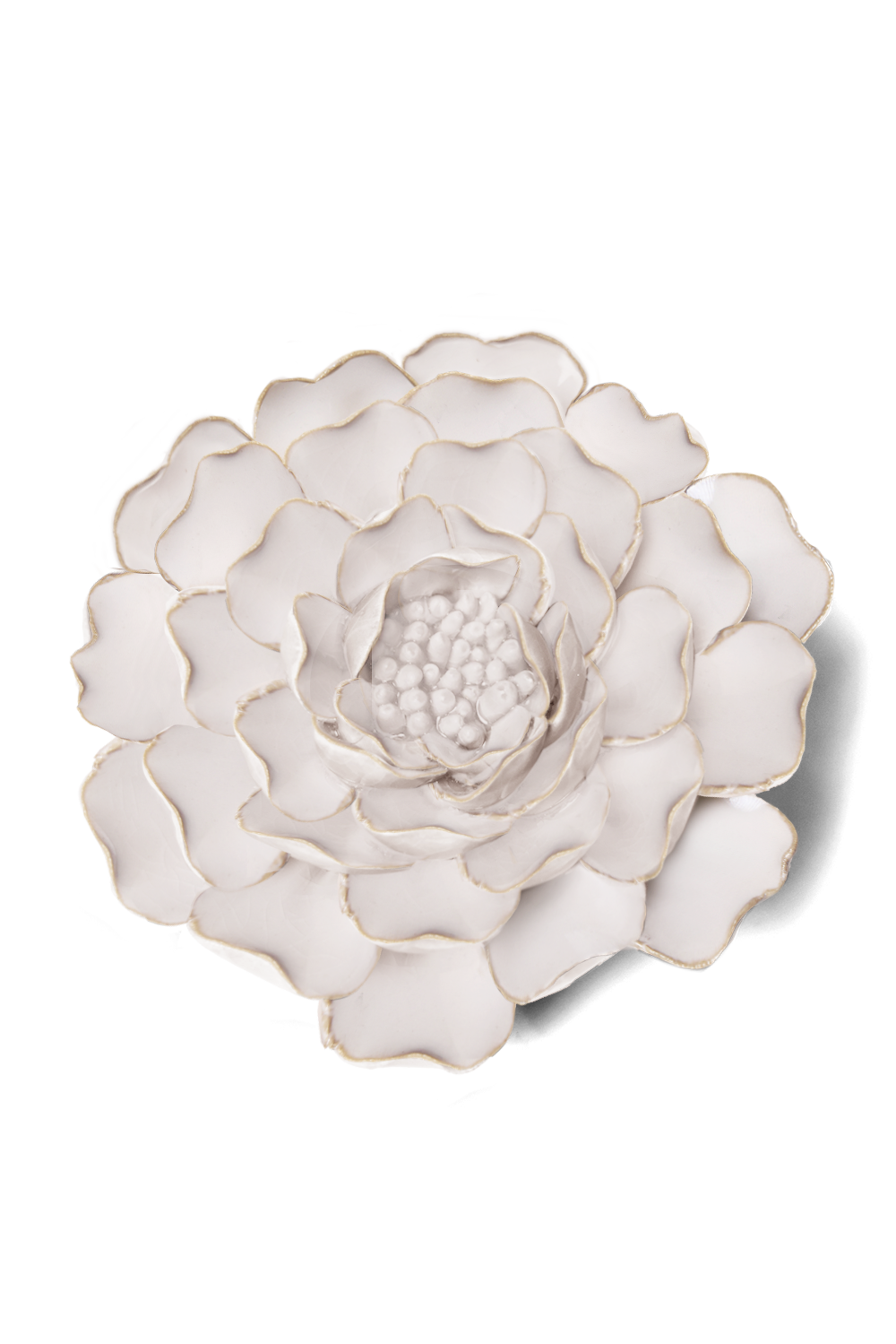 Ivory Peony