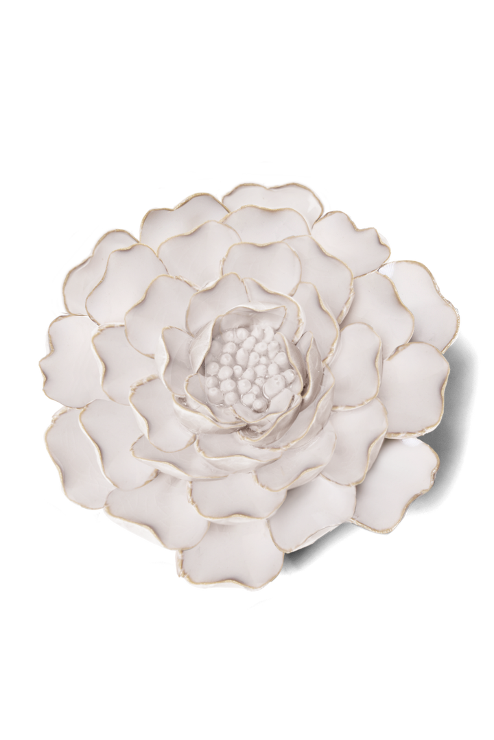 Ivory Peony