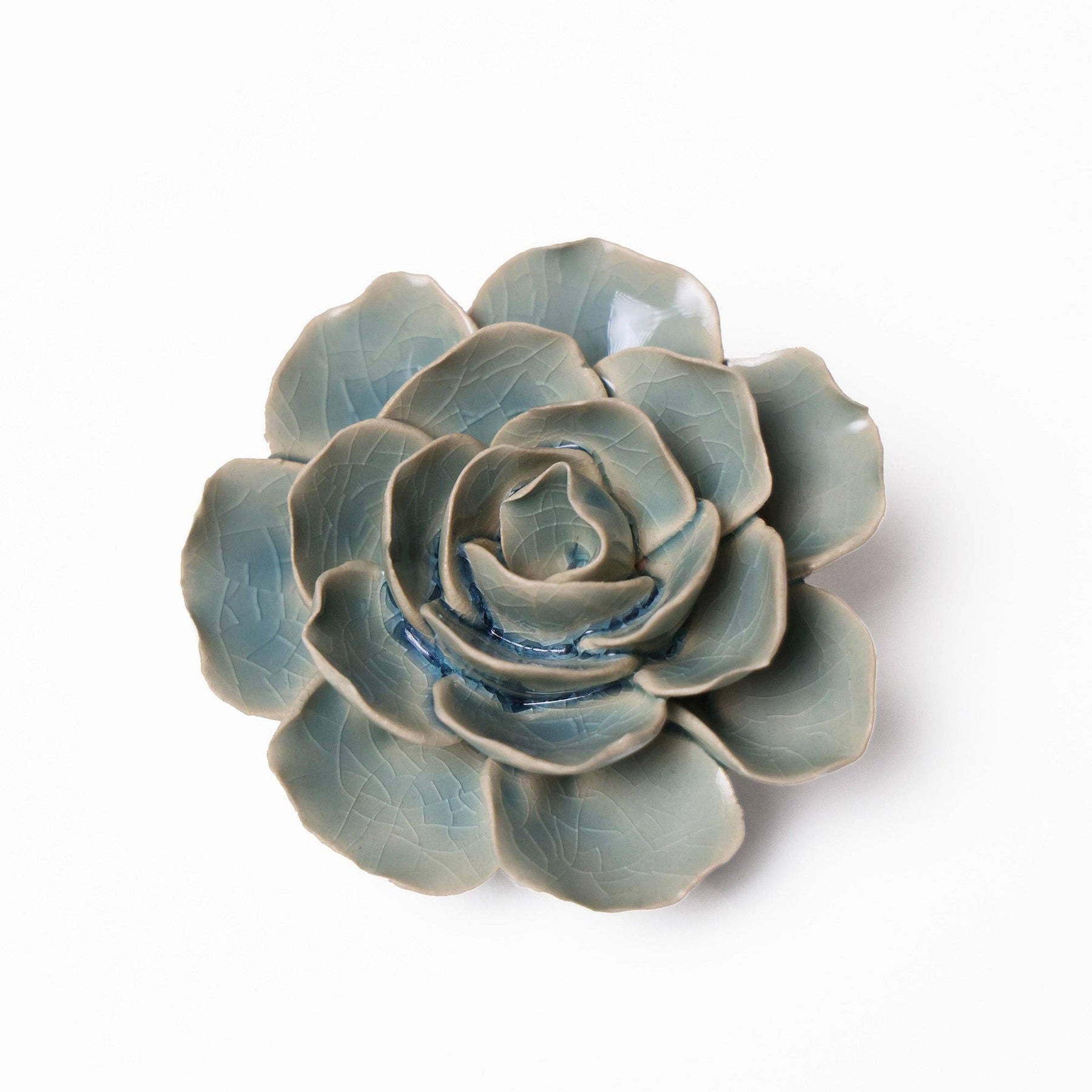 Teal Ranunculus