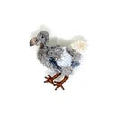 Brooch Lost Dodo