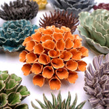 Orange Sea Polyp