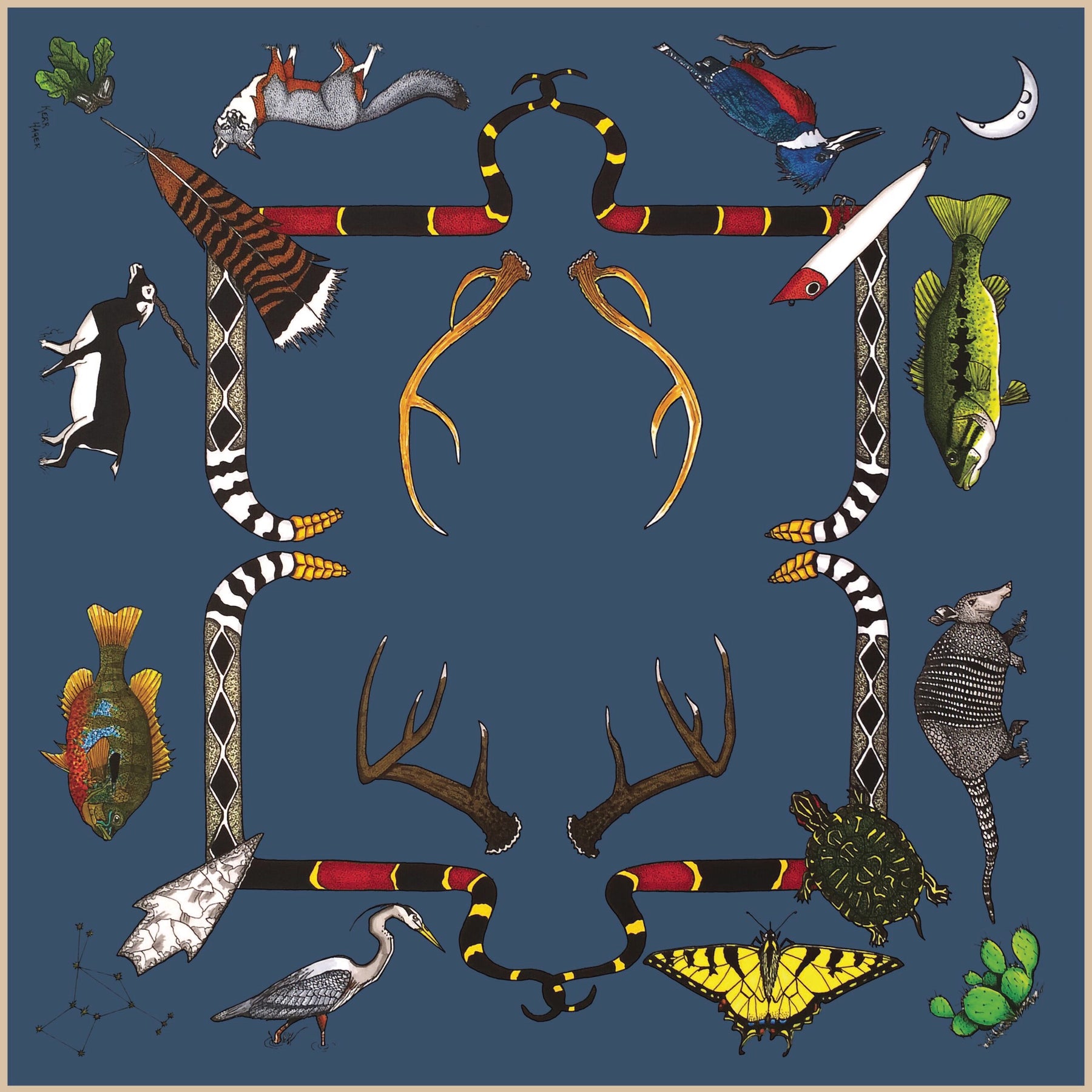 Kerr Chief Scarf Hill Country Cliff Swallow