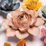 Rose Pink Camellia