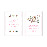 Baby Milestone Cards Woodland Pink