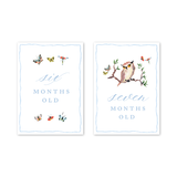 Baby Milestone Cards Woodland Blue