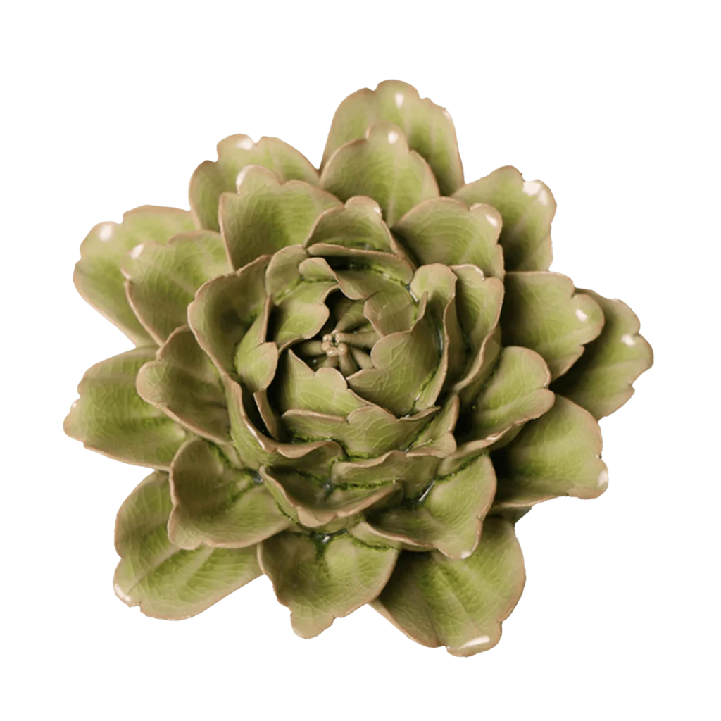Peridot Comanche Peony