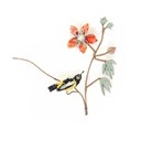 Brooch Common Troupial Bird