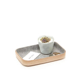 Small Tray Granite