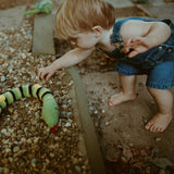 Pebble Snake