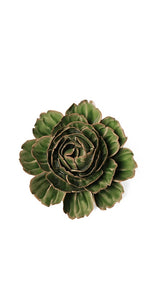 Green Lettuce Peony