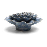 Fancy Blue Fiesta Marigold