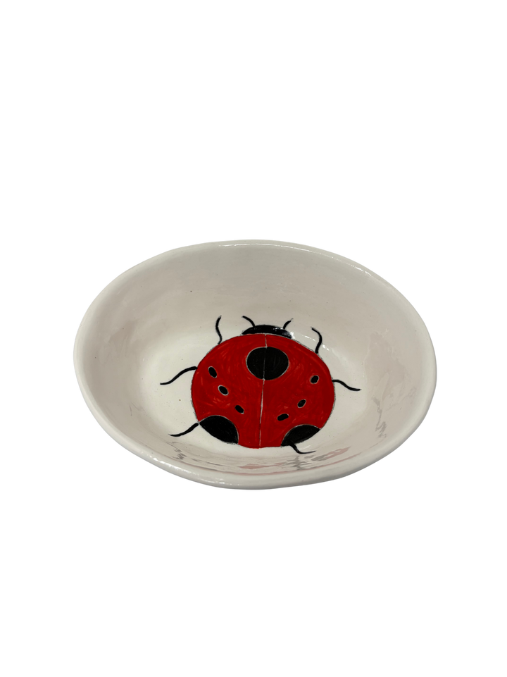 Small Oval Ladybug 3
