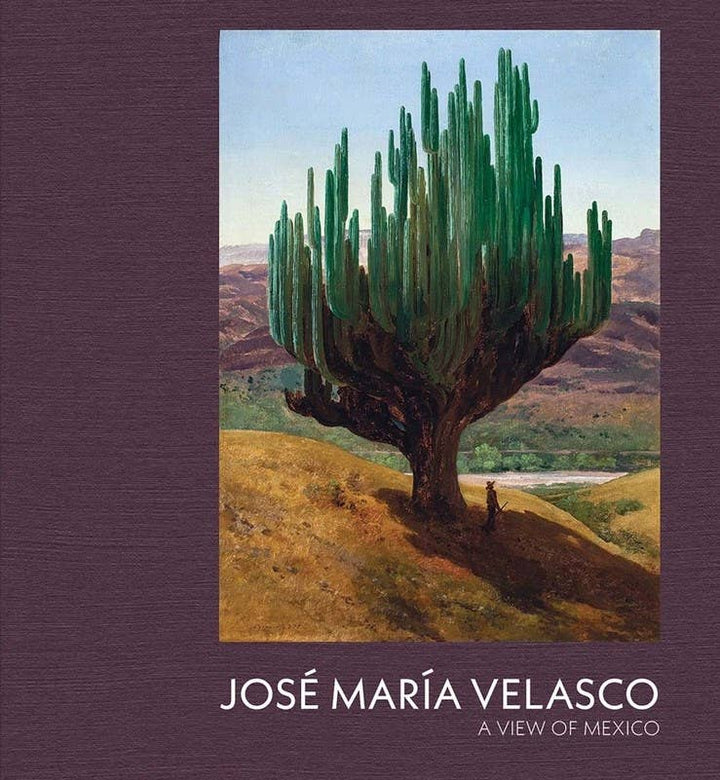 Jose Maria Velasco: A View of Mexico\