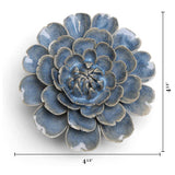 Fancy Blue Fiesta Marigold