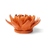 Orange Dahlia