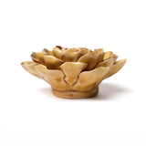 Caramel Charm Peony