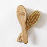 Baby Brush Hedgehog