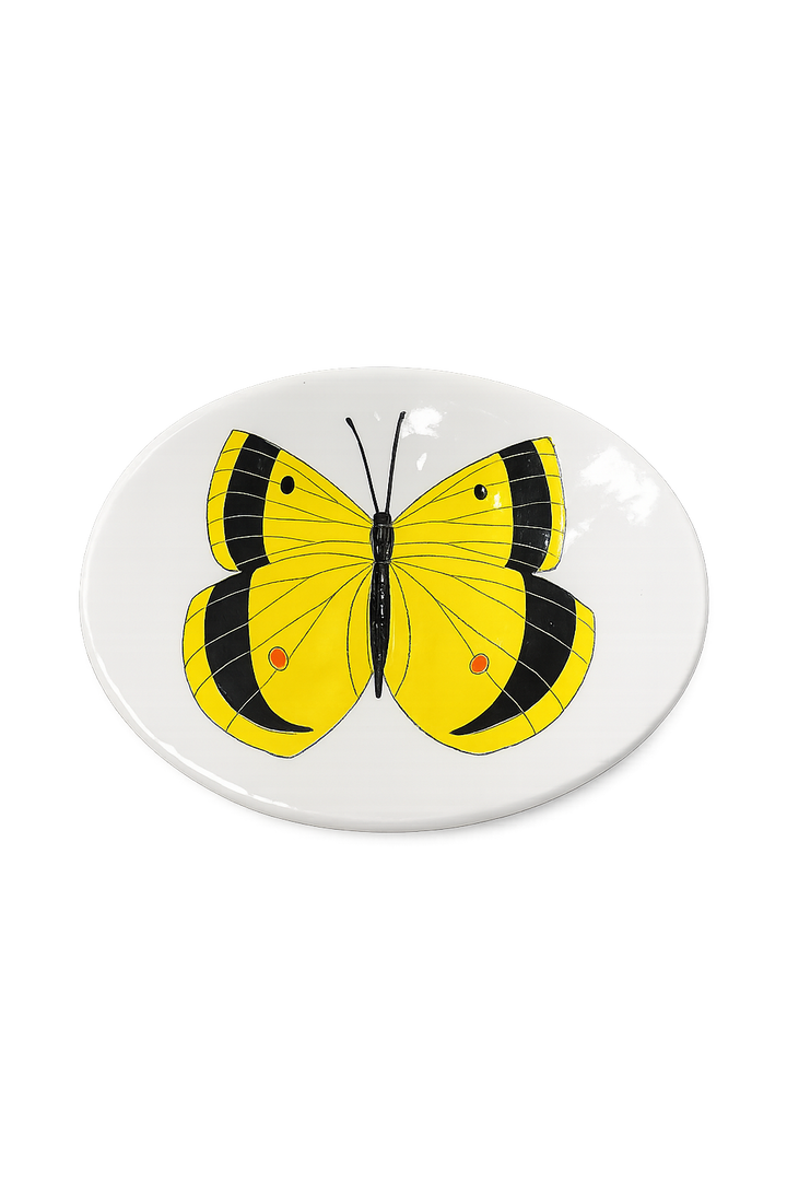 Small Anything Butterfly 12