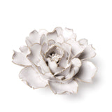 Ivory Rose