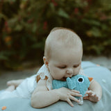 Pebble Blue Bird