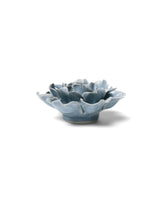 Pale Blue English Rose