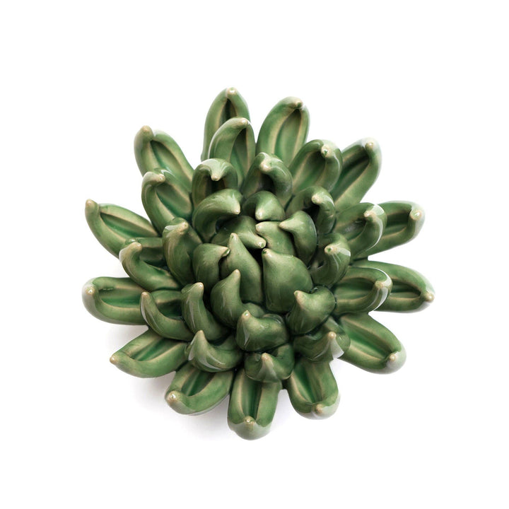 Green Large Succulent