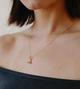 Wishbone Necklace