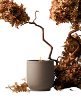 Candle Cece