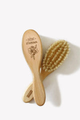 Baby Brush Cat