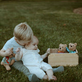 Pebble Teddy Bear