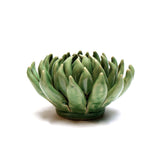 Green Large Succulent