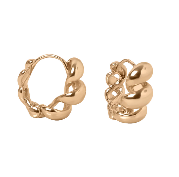 Earrings Isel