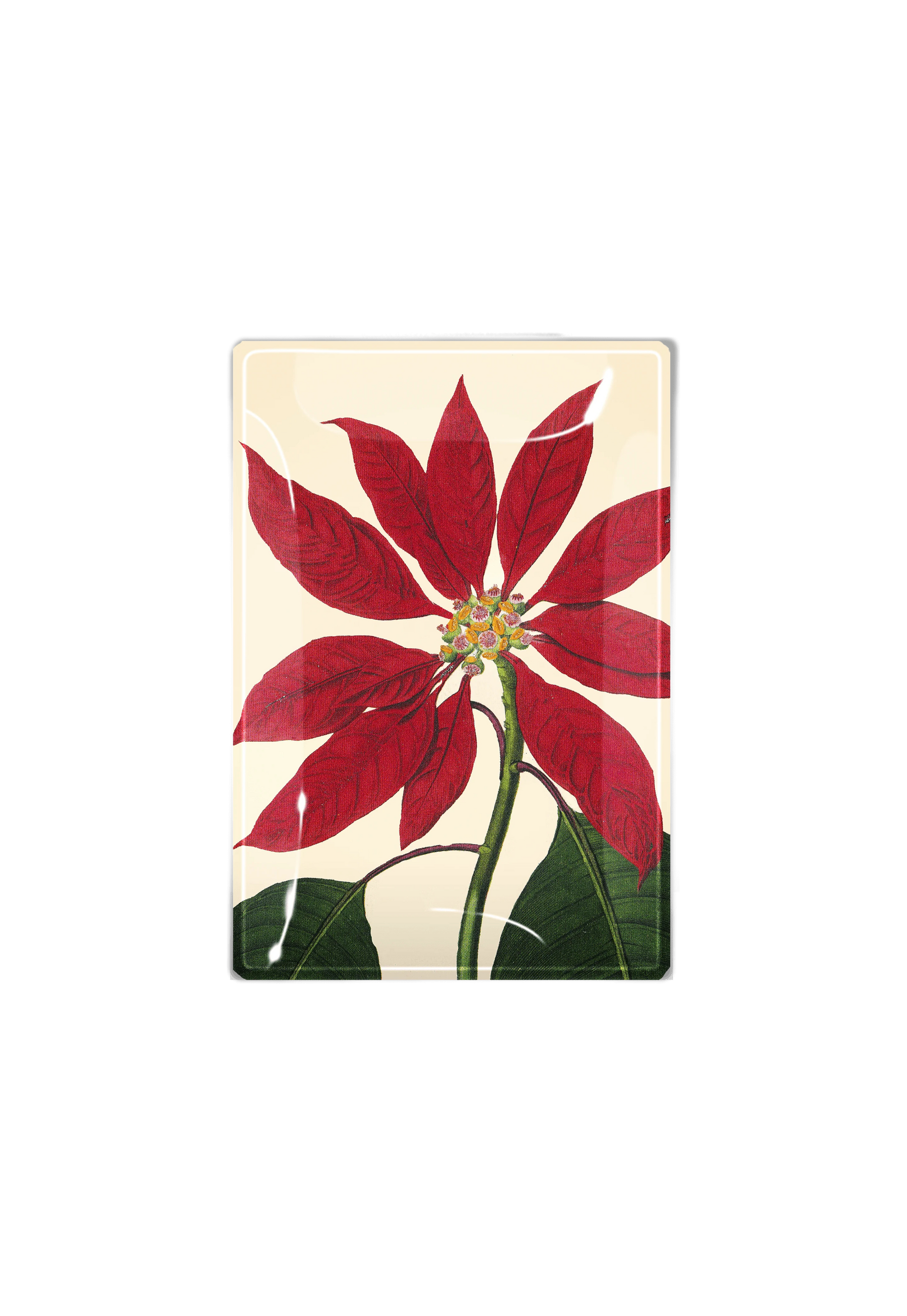 Decoupage Tray Christmas Poinsettia