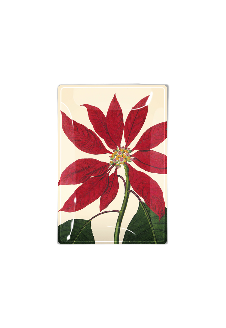 Decoupage Tray Christmas Poinsettia
