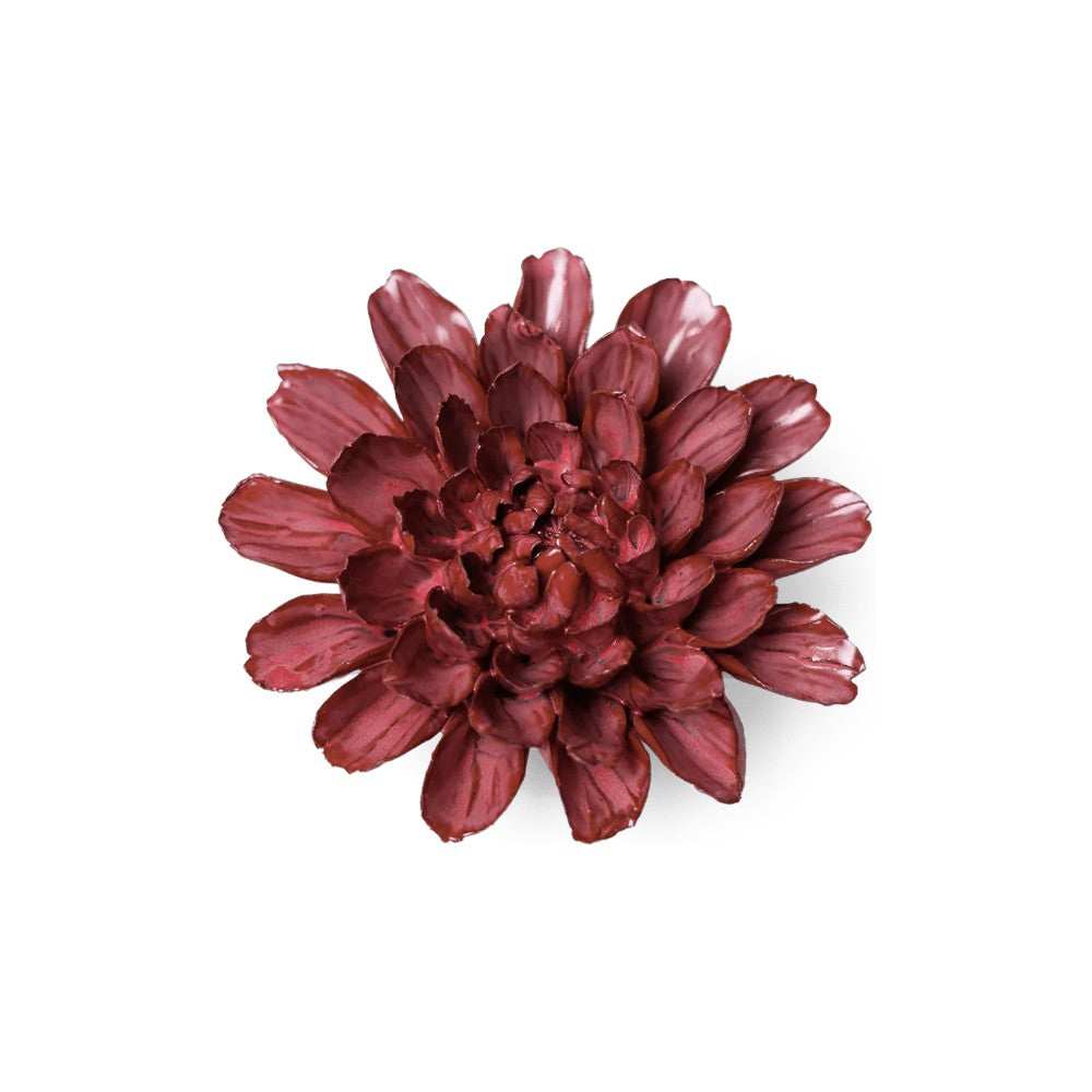Pink Blush Dahlia
