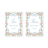 Baby Milestone Cards Cottagecore Floral