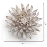 Ivory Spider Mum