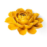 Yellow Cabbage Flower