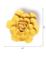 Burnt Yellow Begonia