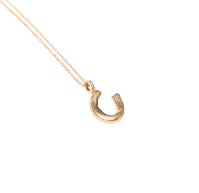 Horseshoe Necklace