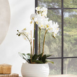 Home Orchid Drop-In 25"