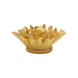 Yellow Chrysanthemum