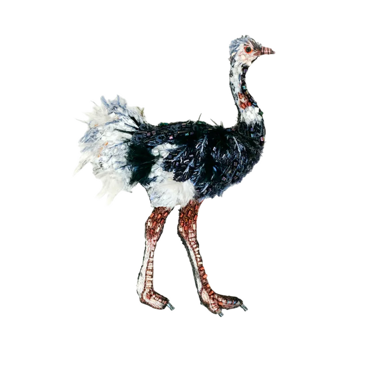 Brooch Common Ostrich