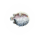 Brooch Puffer Fish
