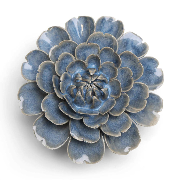 Fancy Blue Fiesta Marigold