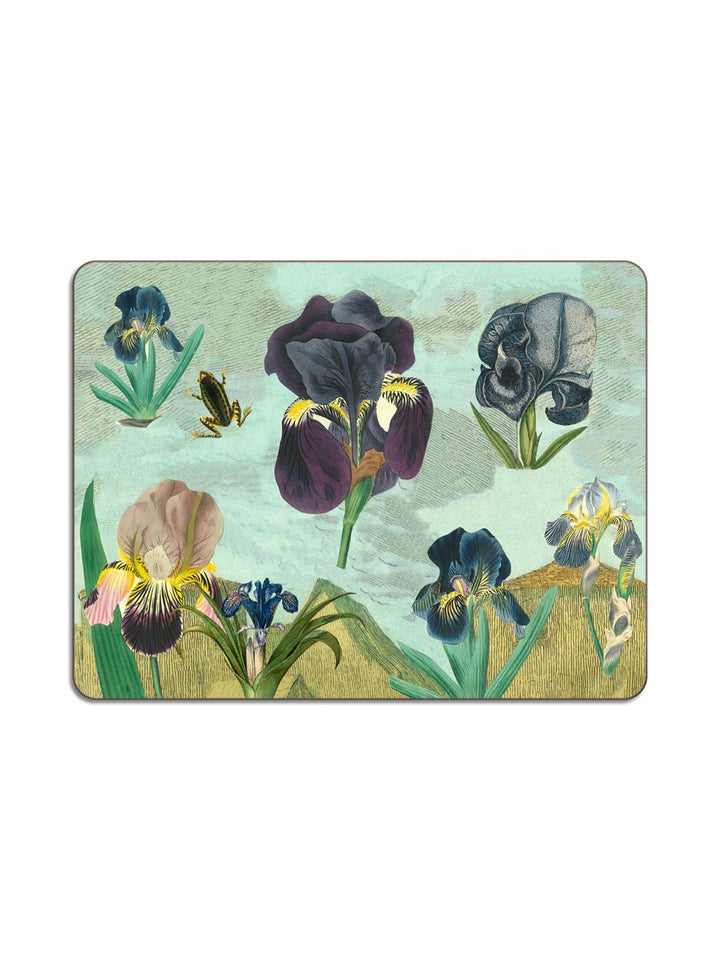 Placemat Set of 2 Iris & Frog